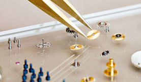 四川攀枝花帝舵售后维修中心服务电话